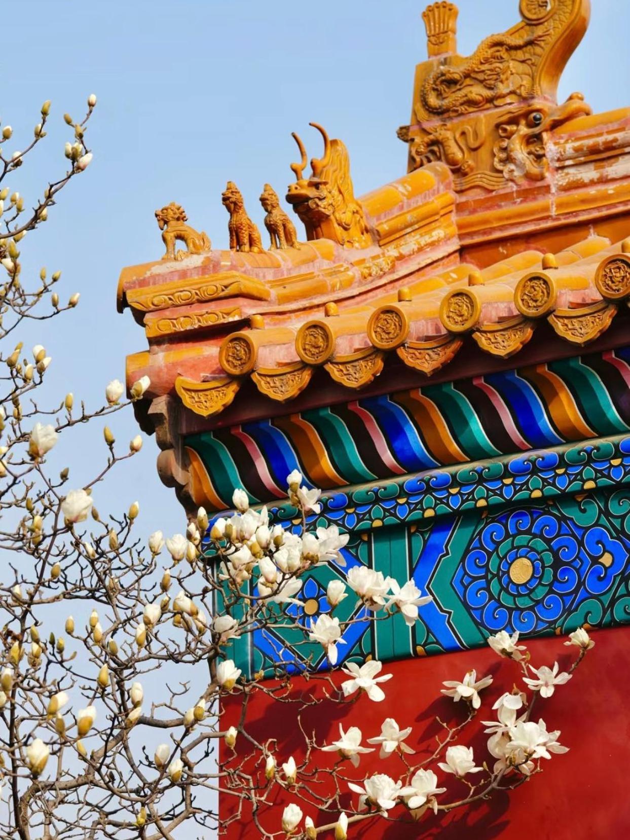 Happy Dragon Courtyard- Newly Renovated With French Windows, Near Tian'Anmen Forbidden City,Lama Temple And Heaven Temple, 3Minutes Walk From Subway,Fluent English Speaking With Tourist Sights Tickets Service ,Free Coffee &Laundry Service Пекін Екстер'єр фото